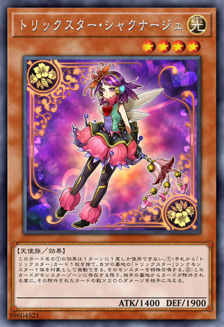 花樣明星石楠杜鵑