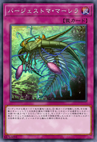 古生物 馬爾三葉形蟲