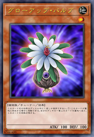 成長球莖
