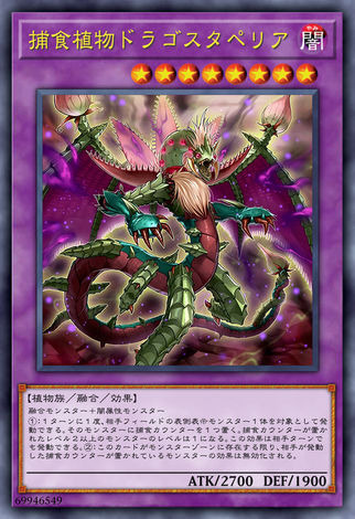 捕食植物 魔星花龍