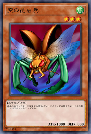 空之昆蟲兵