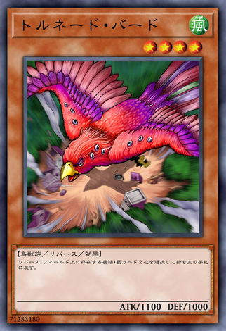 龍捲風鳥
