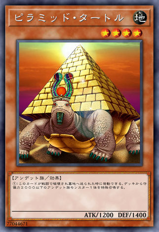 金字塔龜