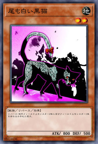 白尾黑貓