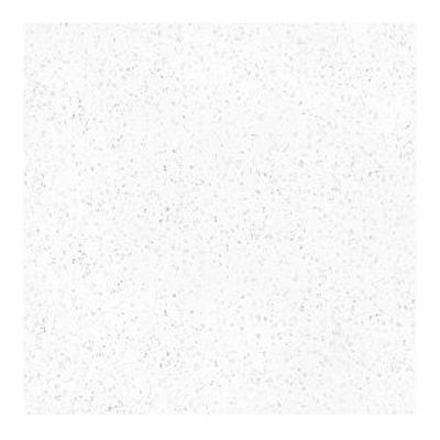 Floor Tile Carbo White 12" x 12"