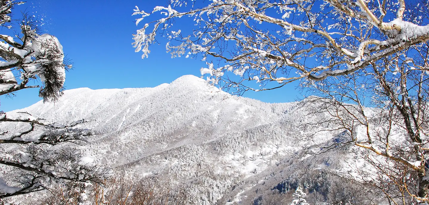 蓮池・太陽山谷 照片 2