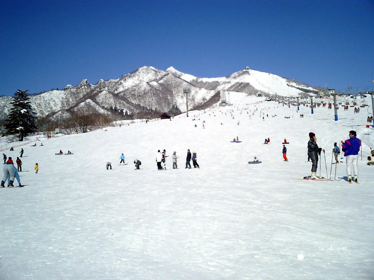 岩原 照片 2