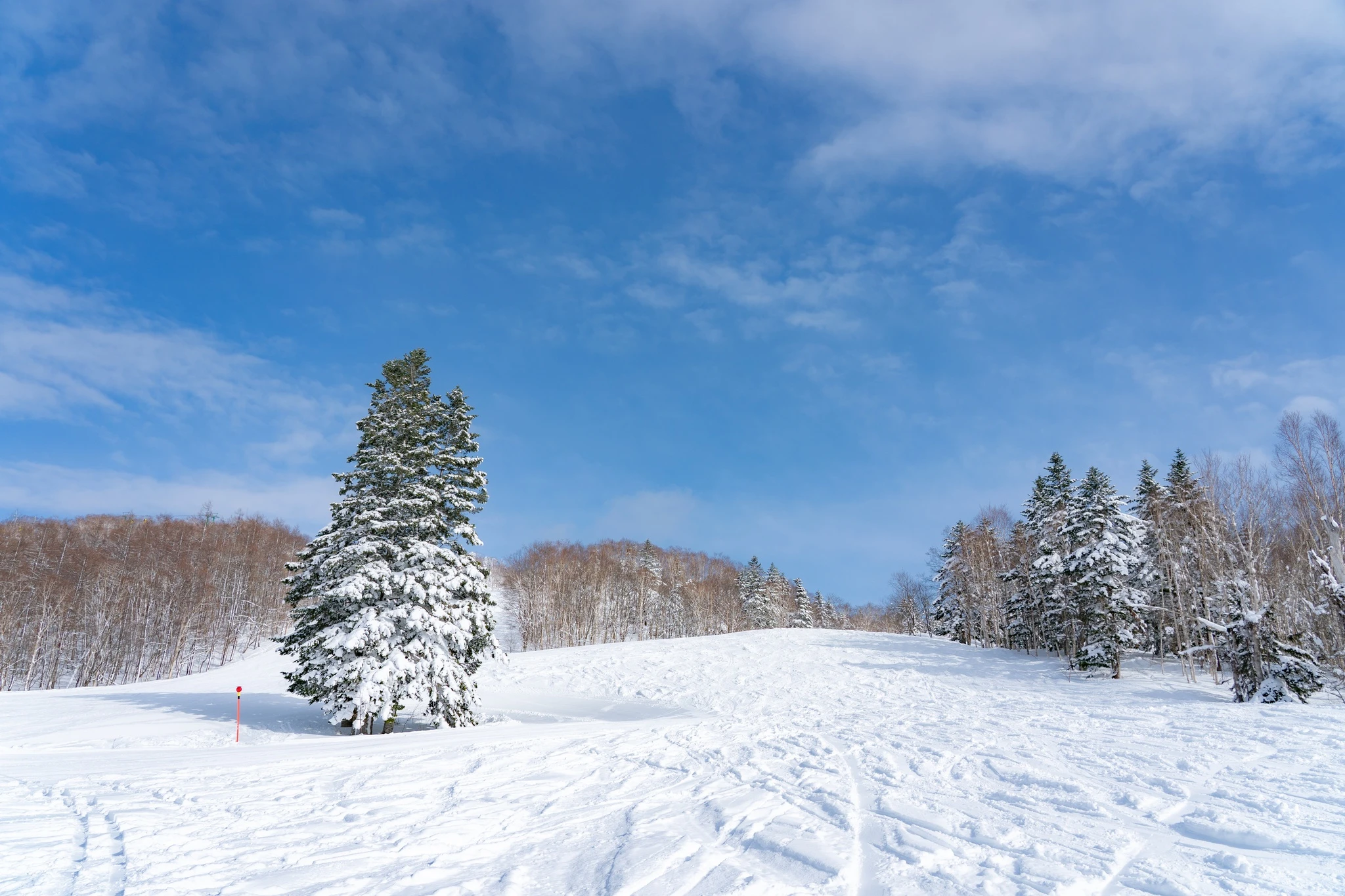 神居滑雪場 照片 3