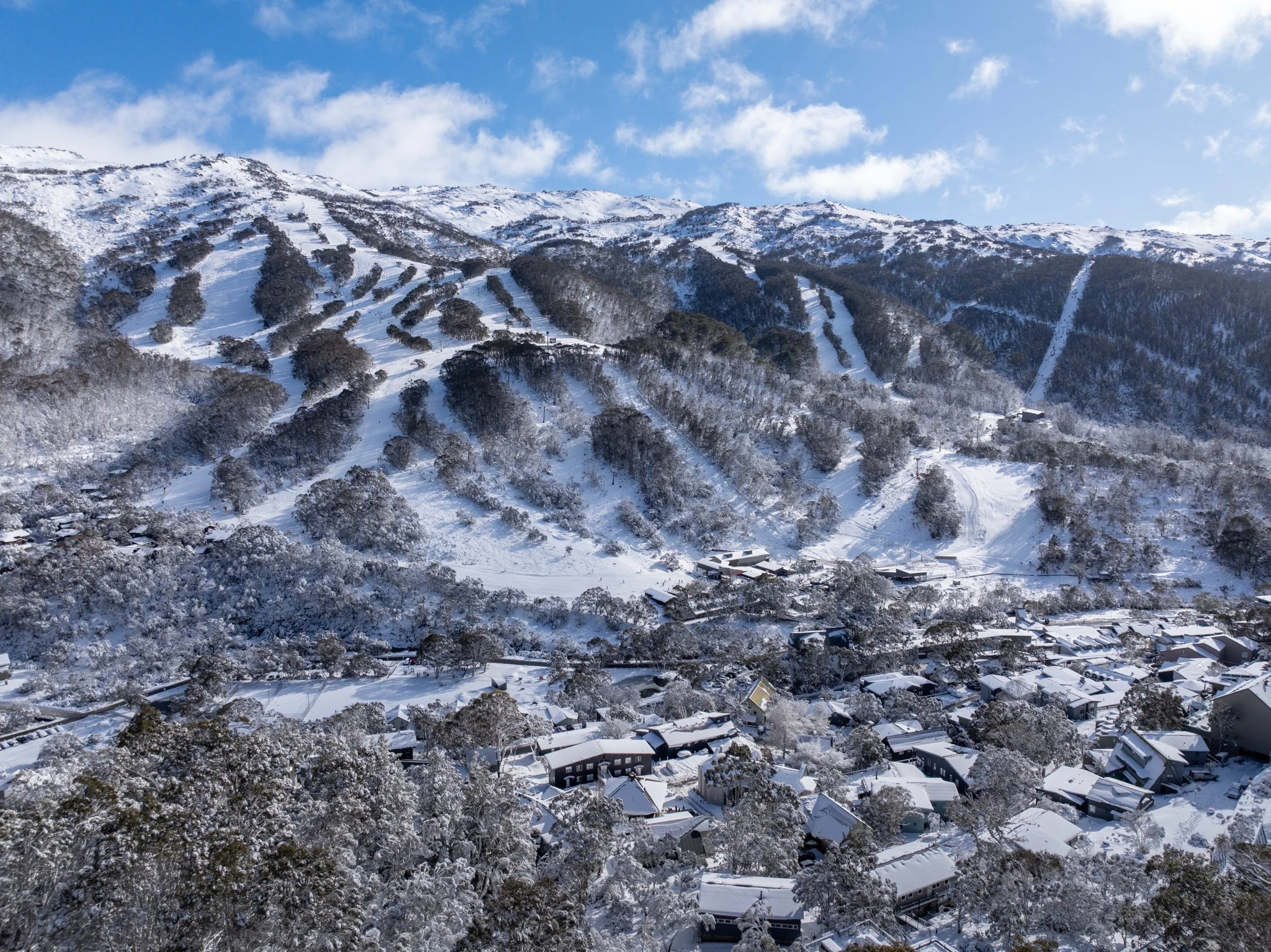 Thredbo 照片 3