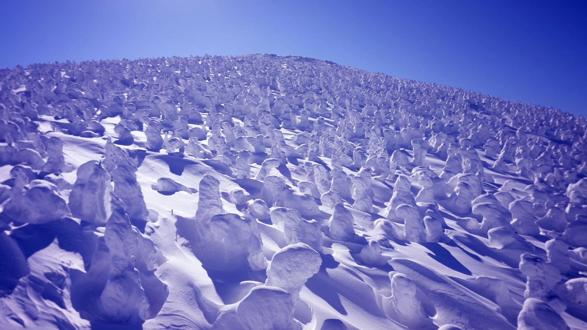 藏王溫泉滑雪場 照片 2