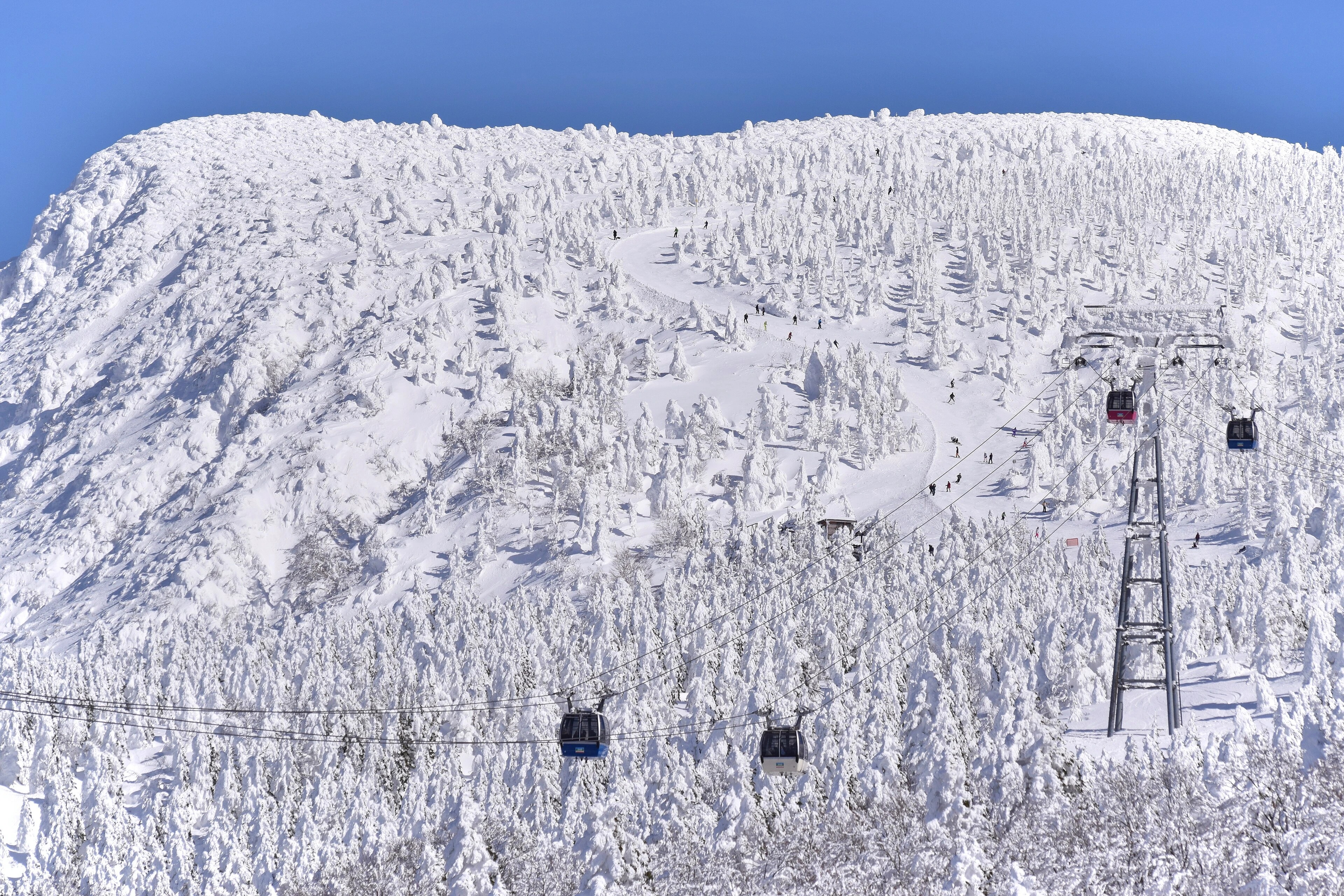 藏王溫泉滑雪場 照片 3