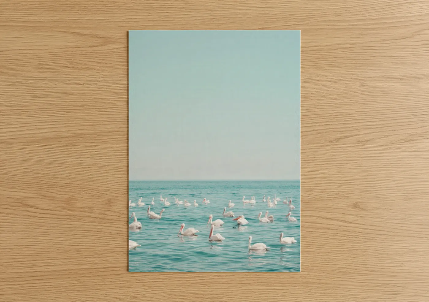 Art print on warm oak wood — blue and white and aquamarine palette — Tranquil Pelican Gathering poster