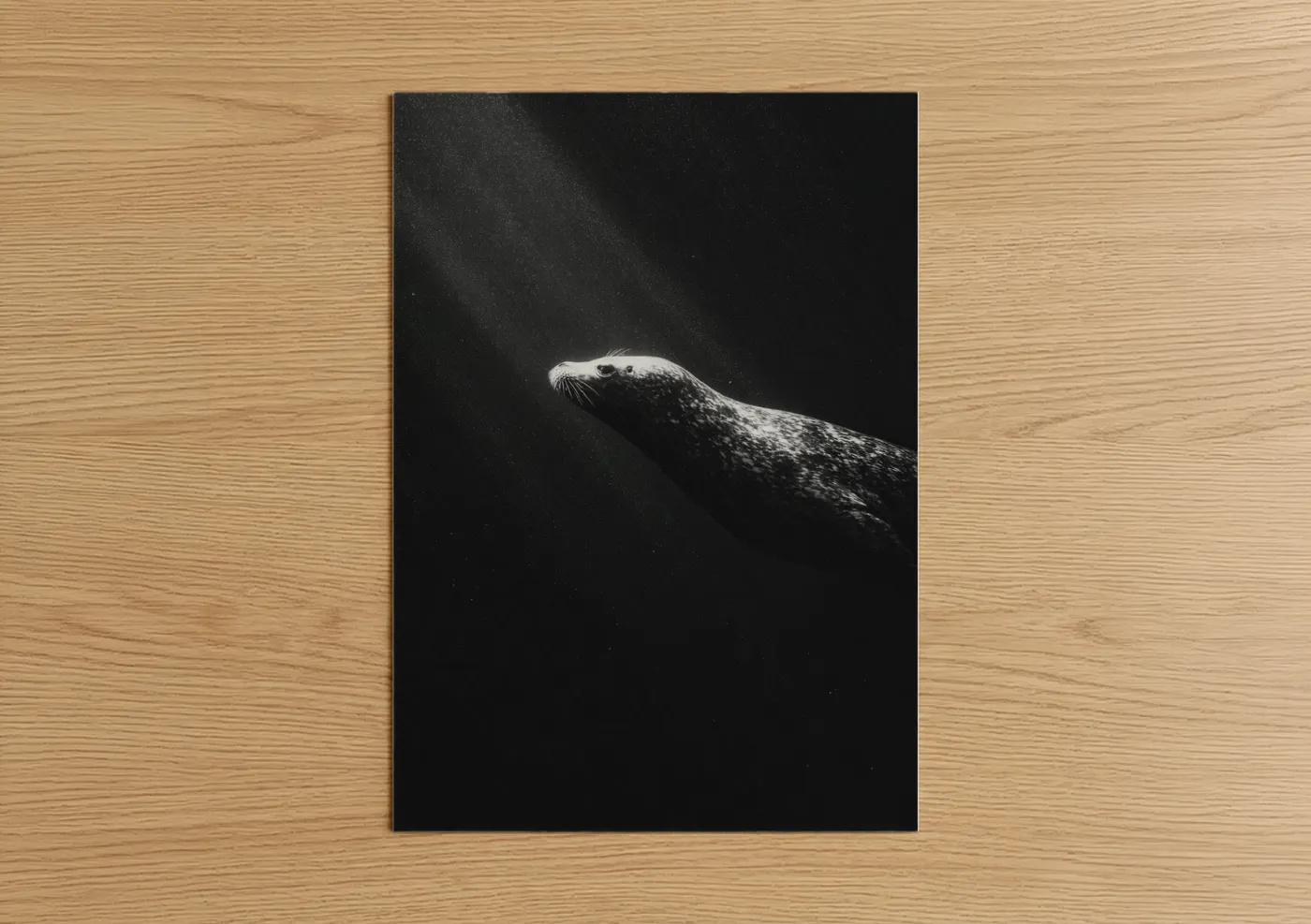 Ethereal Seal Black and White Ocean Wall Art