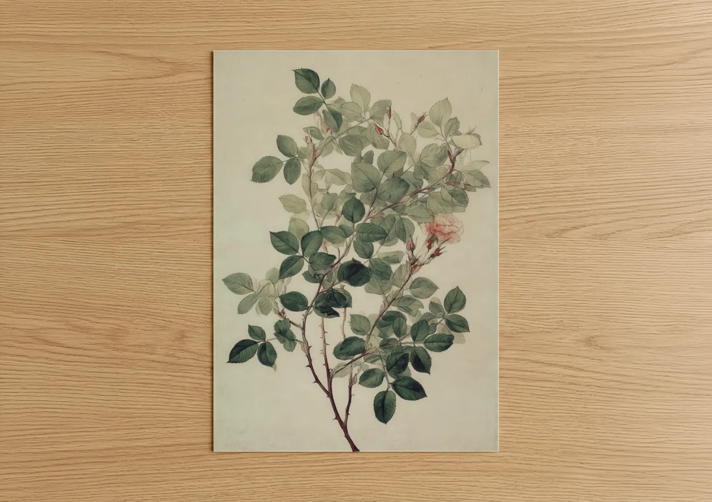 Botanical Rose Branch Watercolor Illustration Wall Art