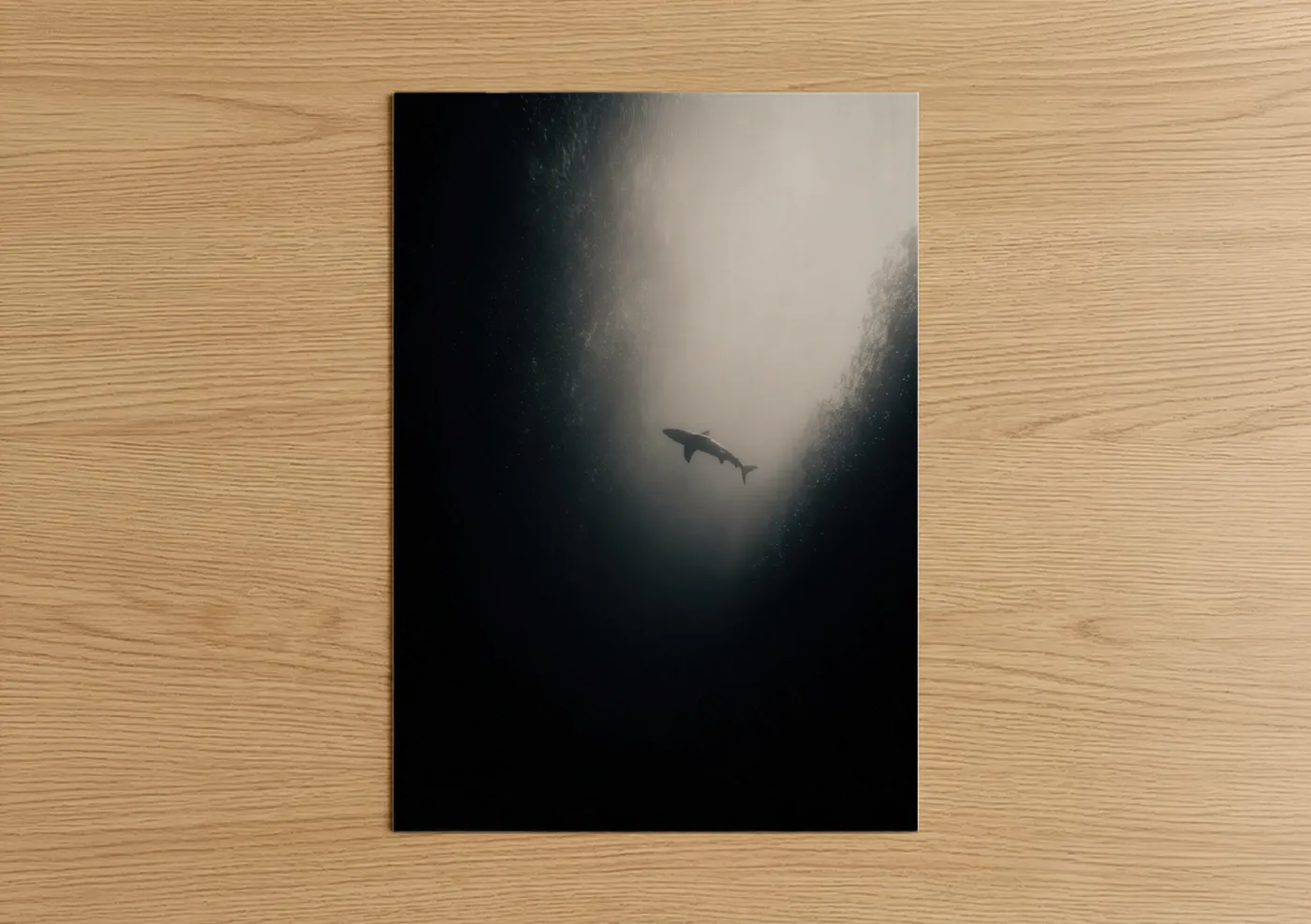 Art print on warm oak wood — black and white and dove gray palette — Solitary Blue Shark poster