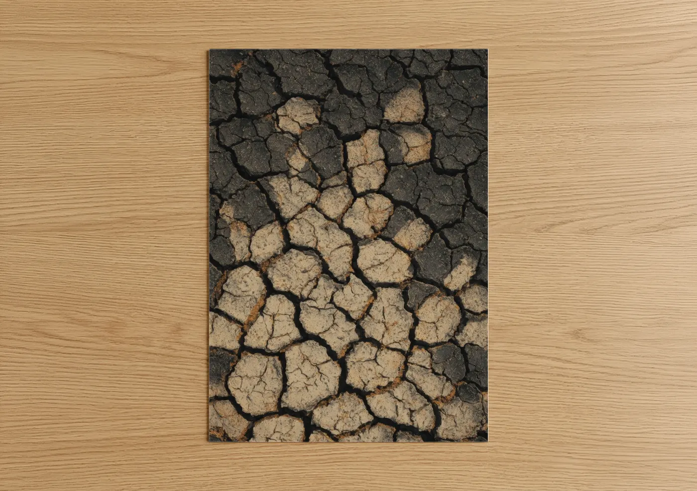 Cracked Dry Earth Texture Nature Wall Art