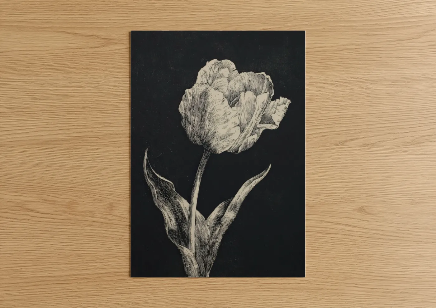 Ivory Tulip Botanical Line Drawing Wall Art