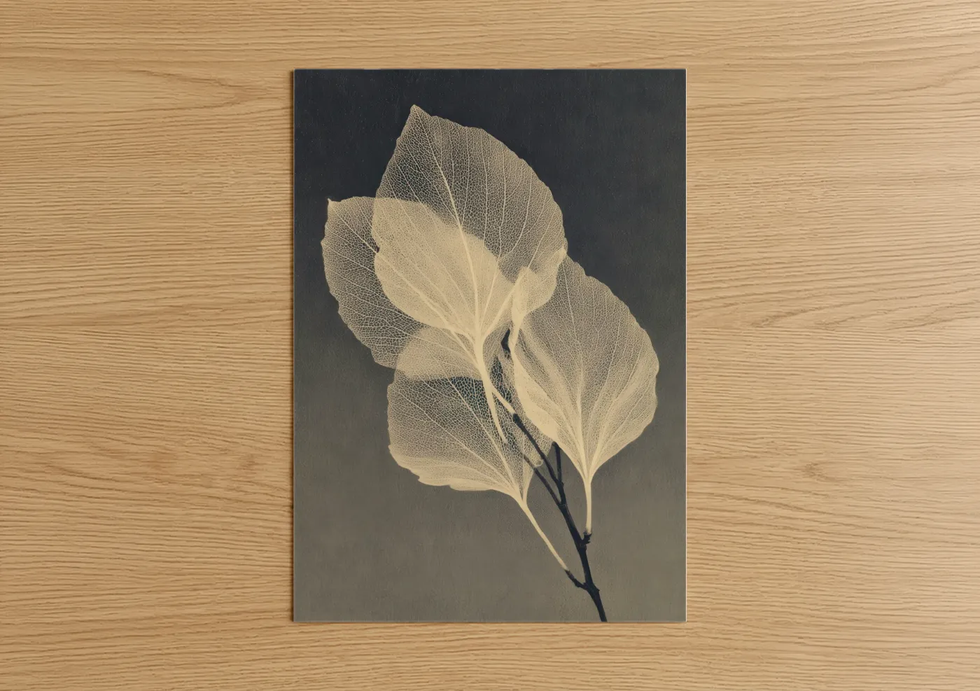 Skeletal Leaf Botanical Art Print Wall Art