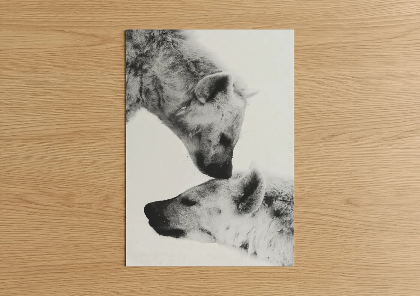 Tender Hyena Pair Black and White Portrait Wall Art