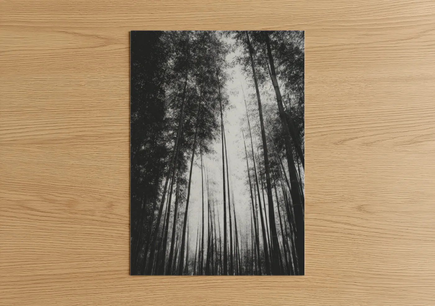 Bamboo jungle art print on warm oak wood — black and white palette — Misty Bamboo Grove poster