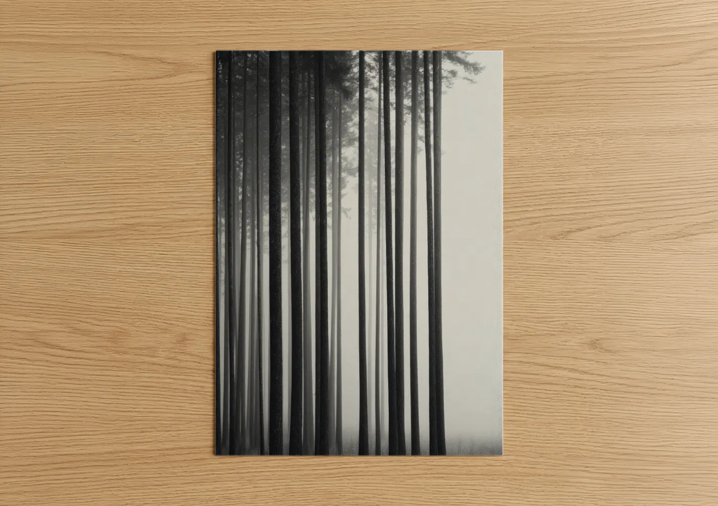 Misty Cedar Forest Black and White Wall Art
