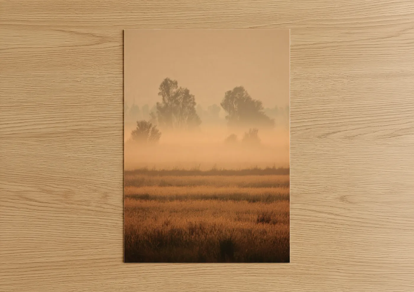Golden Mist Morning Landscape Wall Art