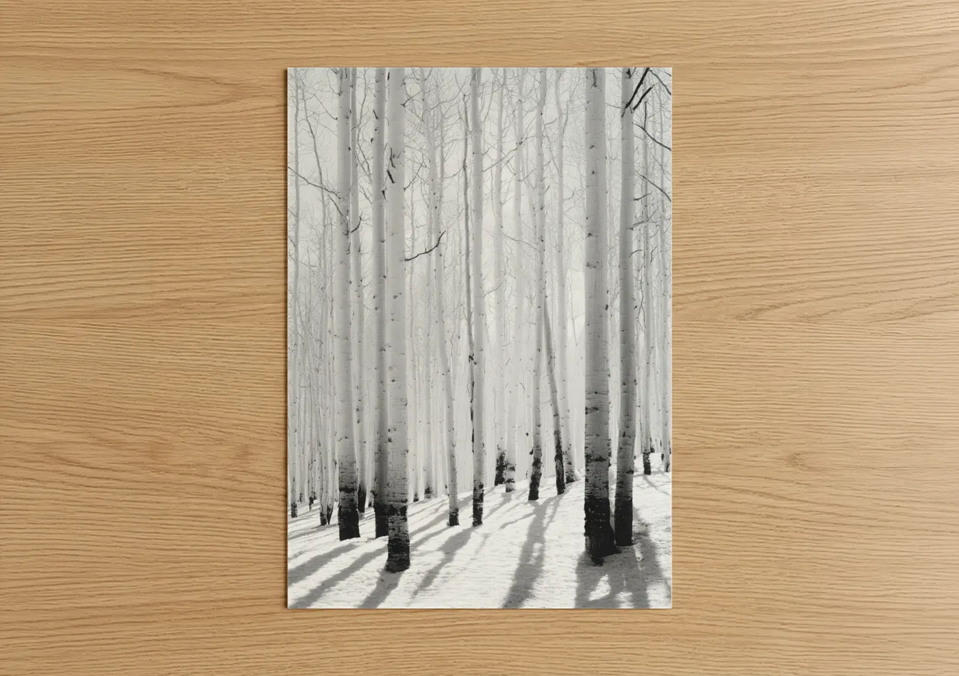 Snowy Aspen Forest Winter Landscape Wall Art