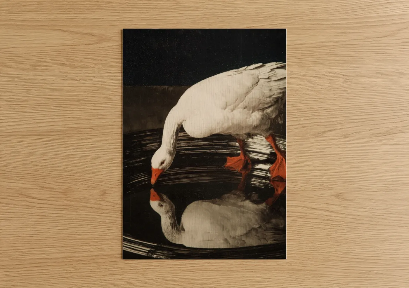 White Geese Reflection Dark Water Wall Art