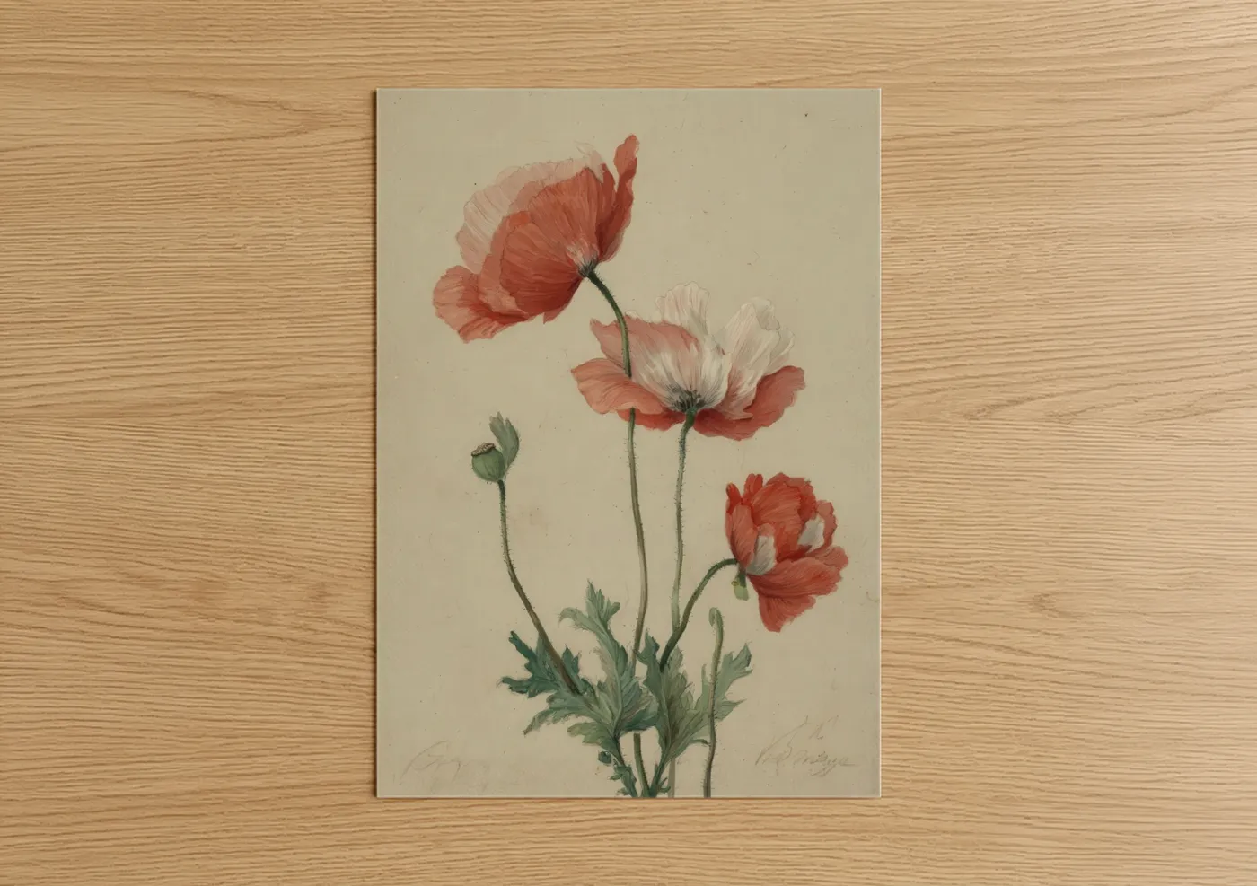 Poppies art print on warm oak wood — red and cream palette — Crimson Poppy Study poster