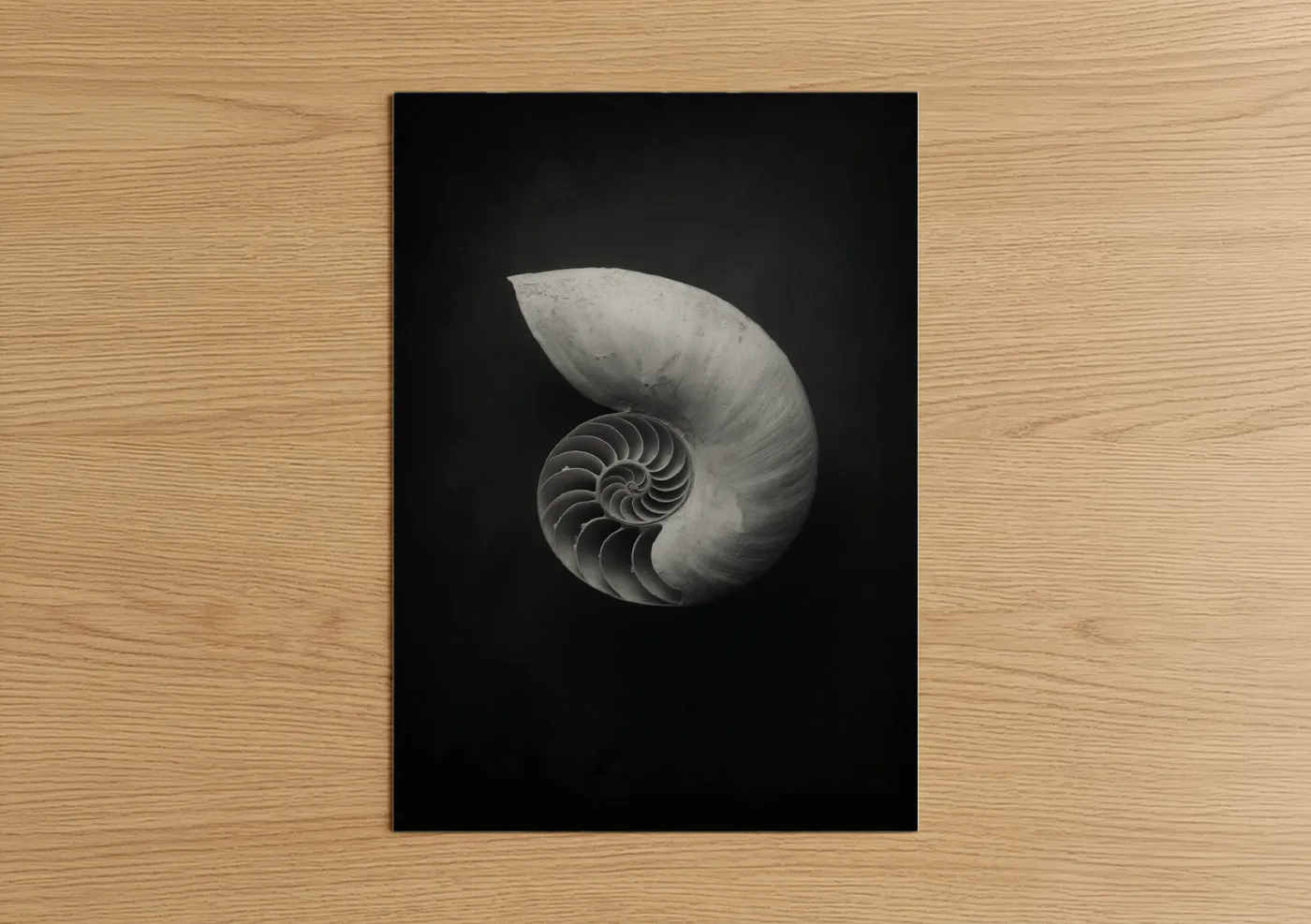 Art print on warm oak wood — black and white and gray palette — Spiral Nautilus poster