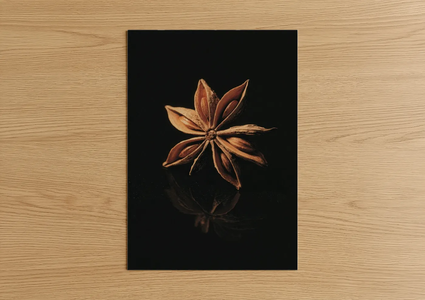 Star Anise Spice Dark Botanical Wall Art