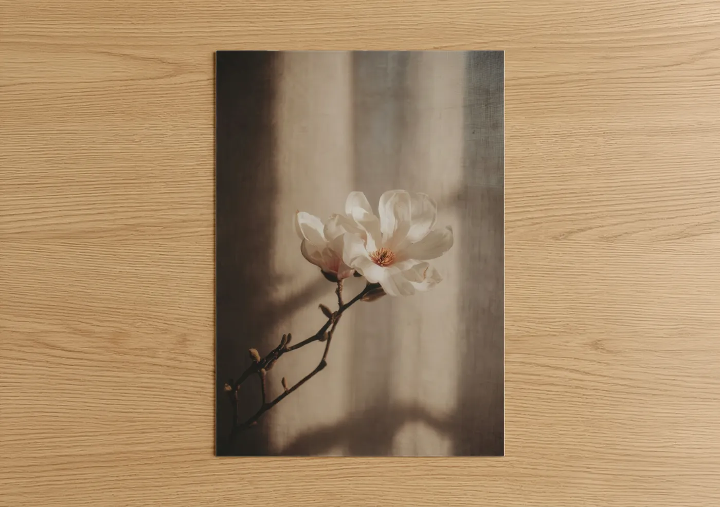 Delicate Magnolia Flower Wall Art