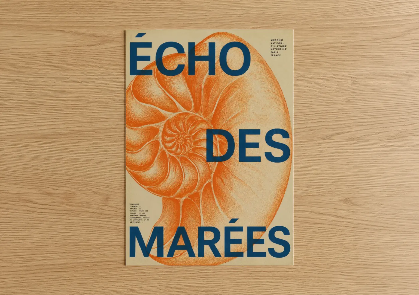 Art print on warm oak wood — orange and beige palette — Nautilus Shell Museum Poster Wall Art poster