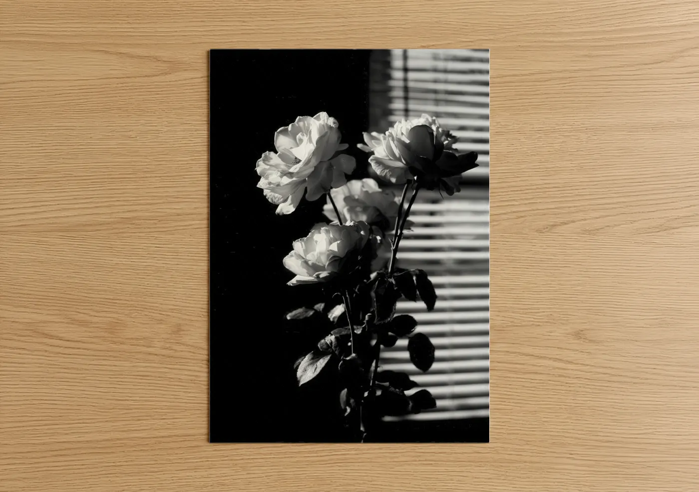 Monochrome Roses Black and White Photography Wall Art