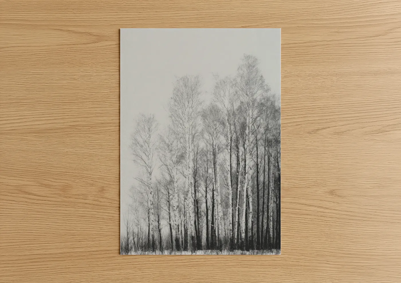 Frosted Birch Forest Winter Landscape Wall Art