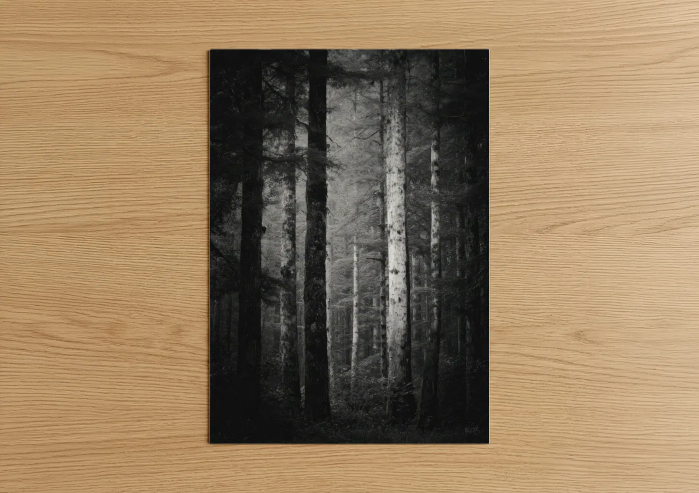 Misty Forest Corridor Black White Wall Art