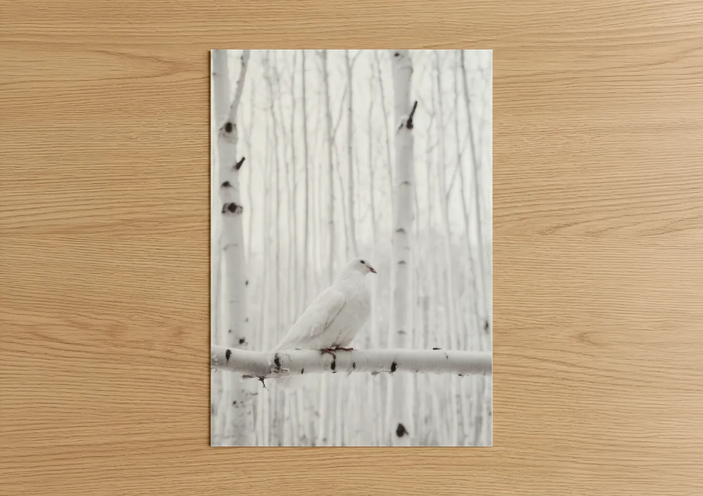 White Dove Winter Birch Forest Wall Art