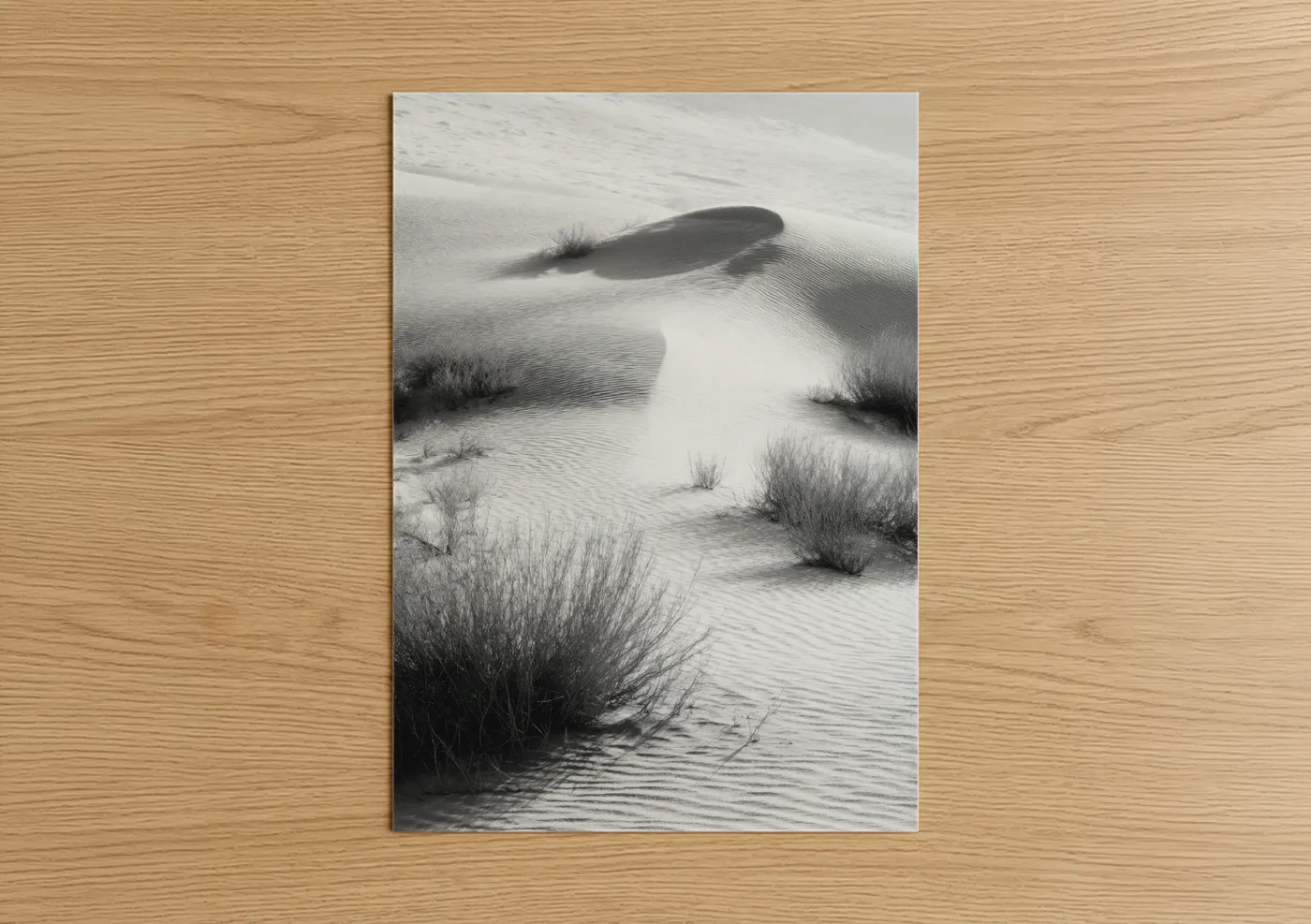 Sandy beach art print on warm oak wood — black and white and gray palette — Windswept Dunes poster