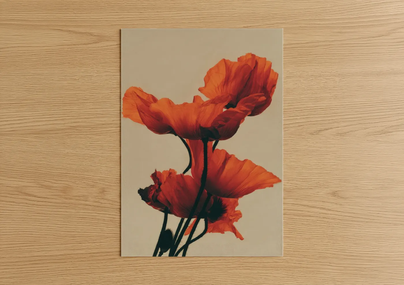 Crimson Poppies Floral Wall Art