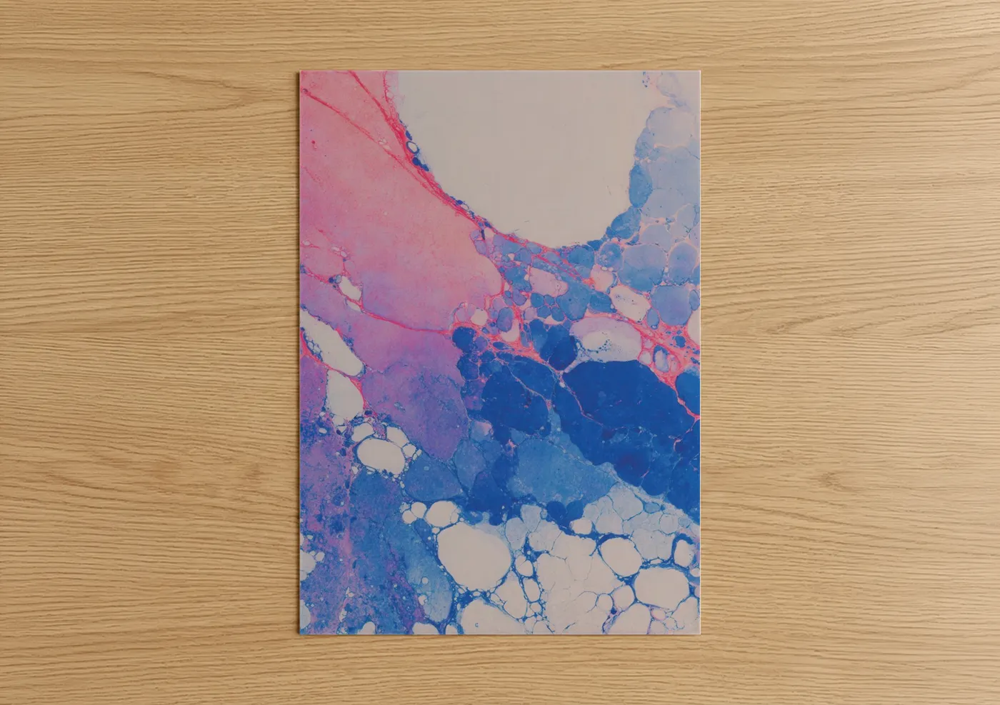 Art print on warm oak wood — pink and blue palette — Coral Bloom Abstract poster