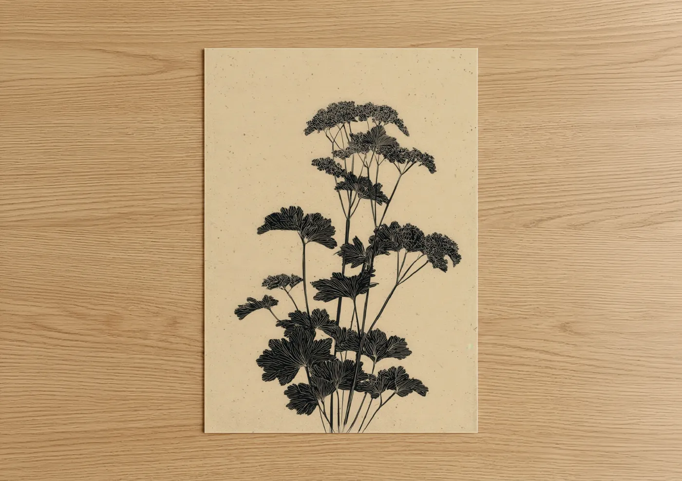 Botanical Herb Study Black Line Wall Art