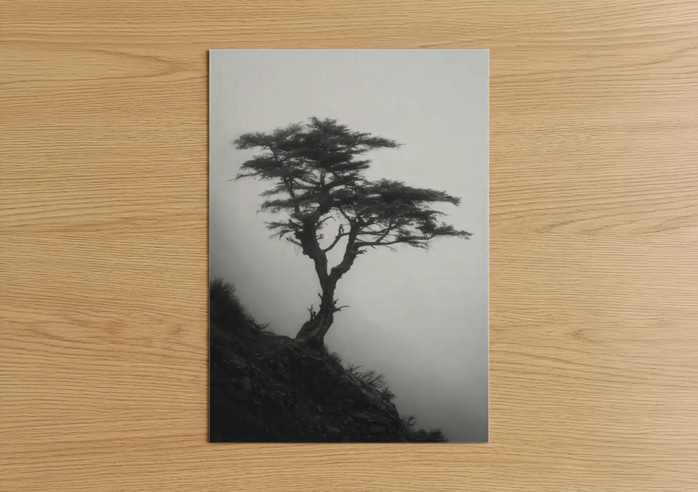 Cypress tree art print on warm oak wood — black and white palette — Solitary Cypress poster