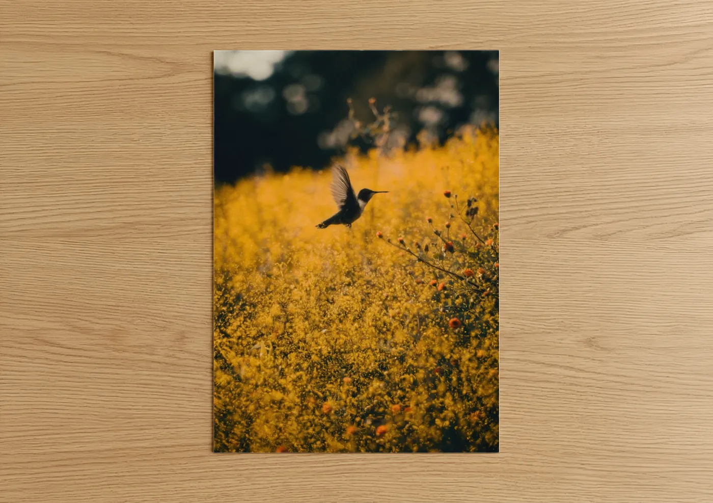Hummingbird in Golden Flower Field Wall Art