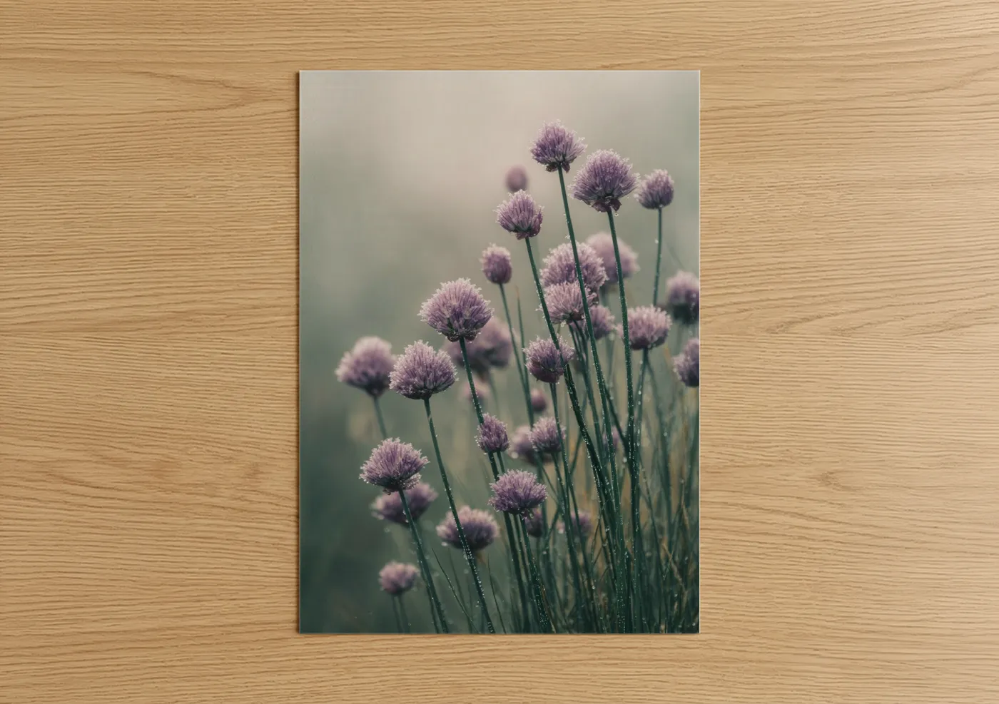 Herbs art print on warm oak wood — lavender and sage green palette — Dewy Chives poster