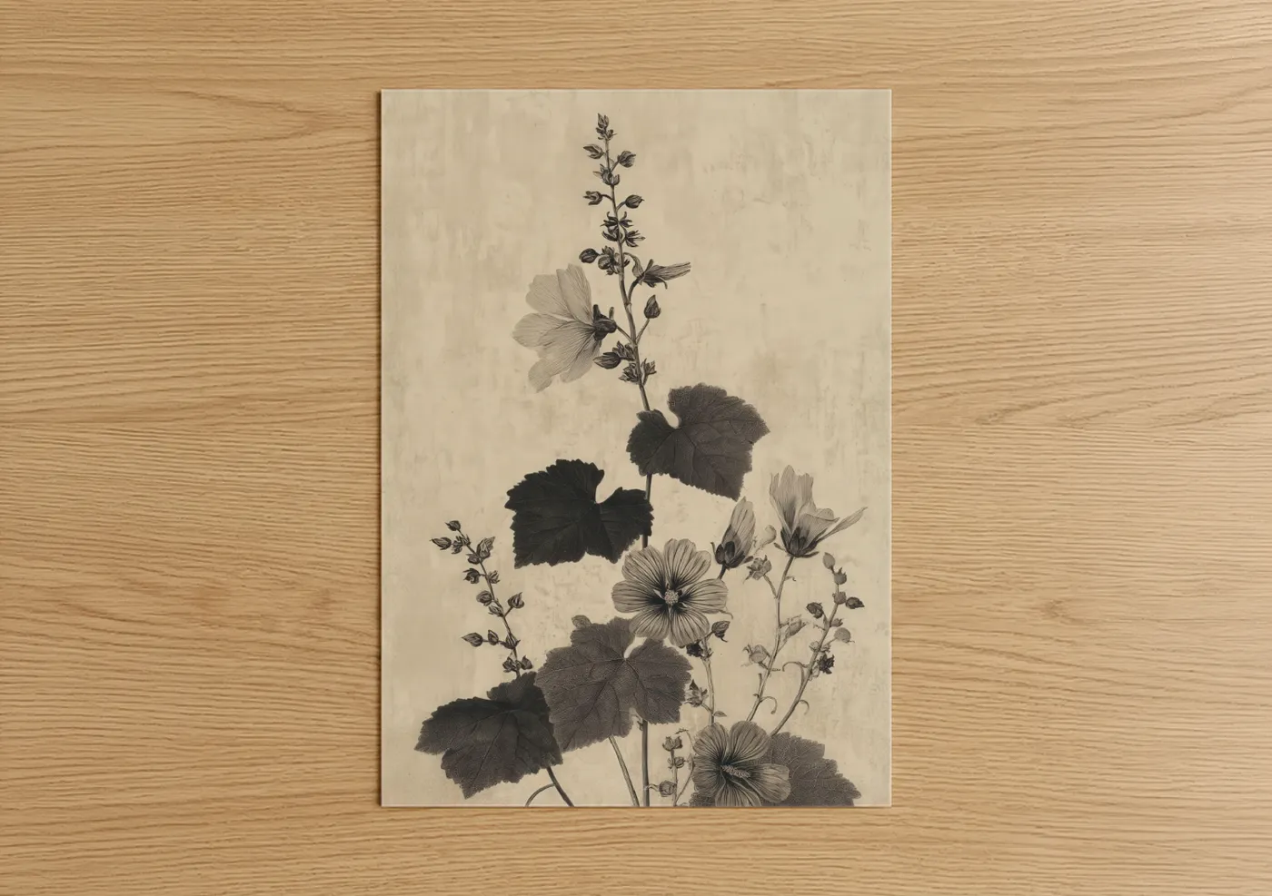 Botanical Herb Study Black and White Wall Art