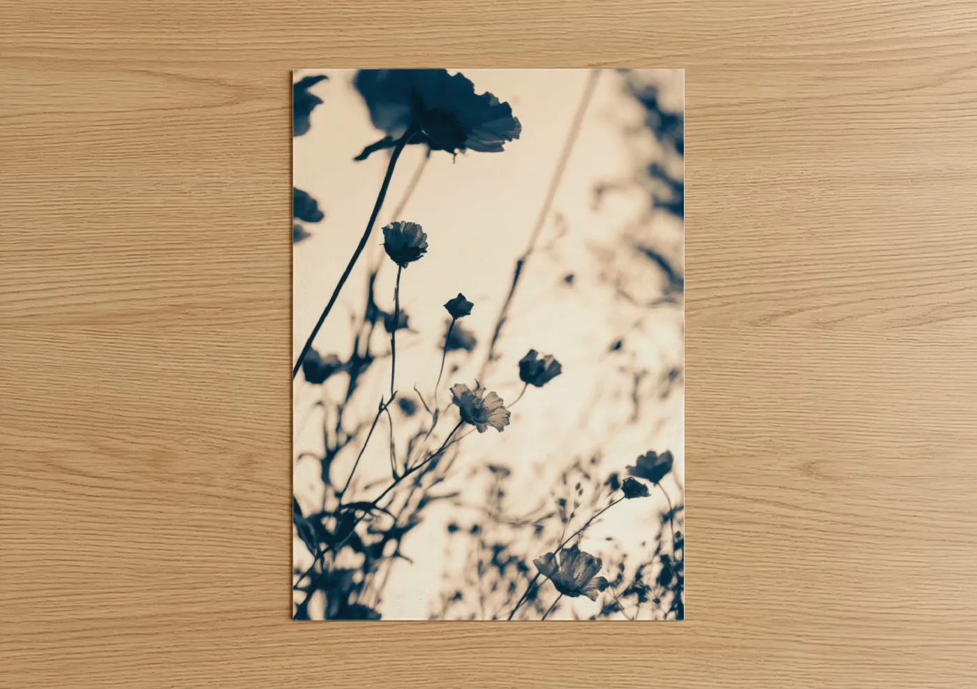 Abstract flower art print on warm oak wood — cream and dark blue palette — Silhouette Wildflowers poster