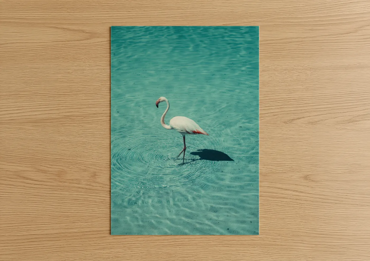 Elegant Flamingo Tropical Water Wall Art