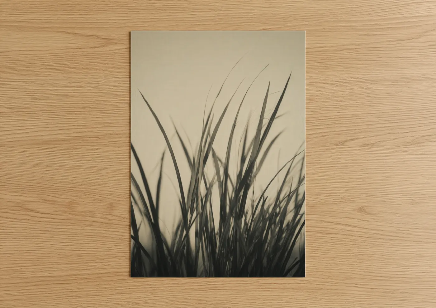 Minimalist Grass Art Monochrome Nature Wall Art
