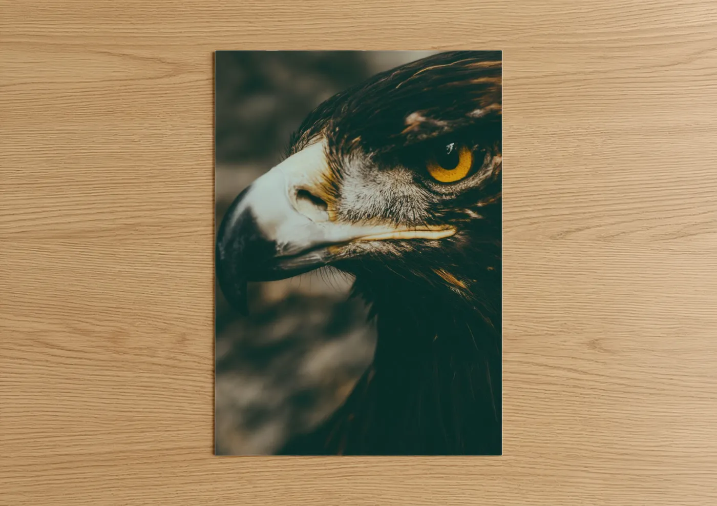 Art print on warm oak wood — brown and gold palette — Golden Eagle Profile poster
