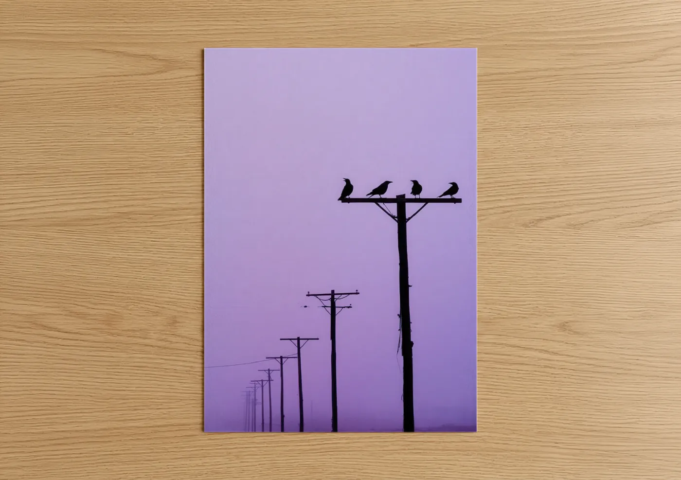 Crows on Power Line Sunset Silhouette Wall Art